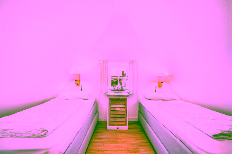 Bild - Schöne, ruhig gelegene Wohnung zwischen Dorfteich und Weststranddünen