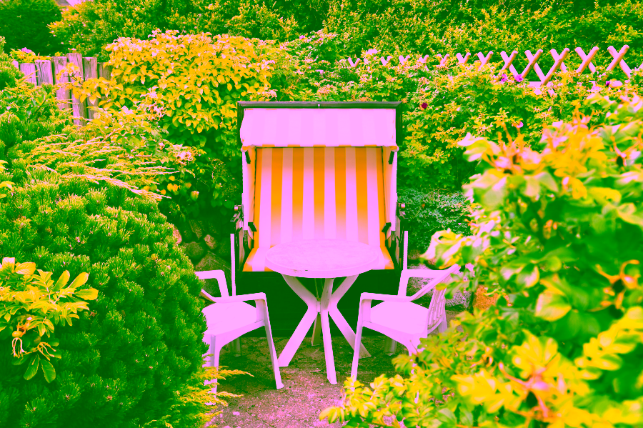 Bild - Schöne, ruhig gelegene Wohnung zwischen Dorfteich und Weststranddünen