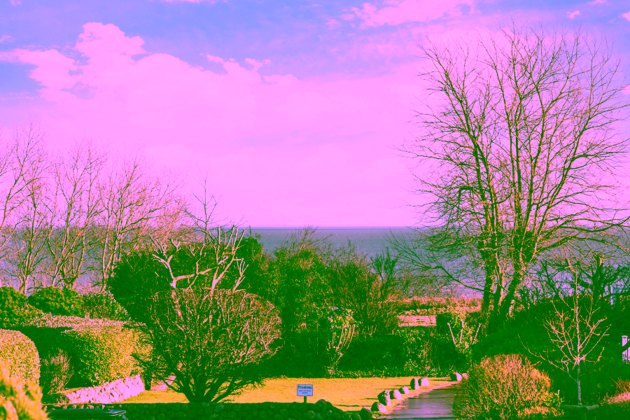 Bild - Luxuriöses Einzelhaus mit Blick auf das Wattenmeer