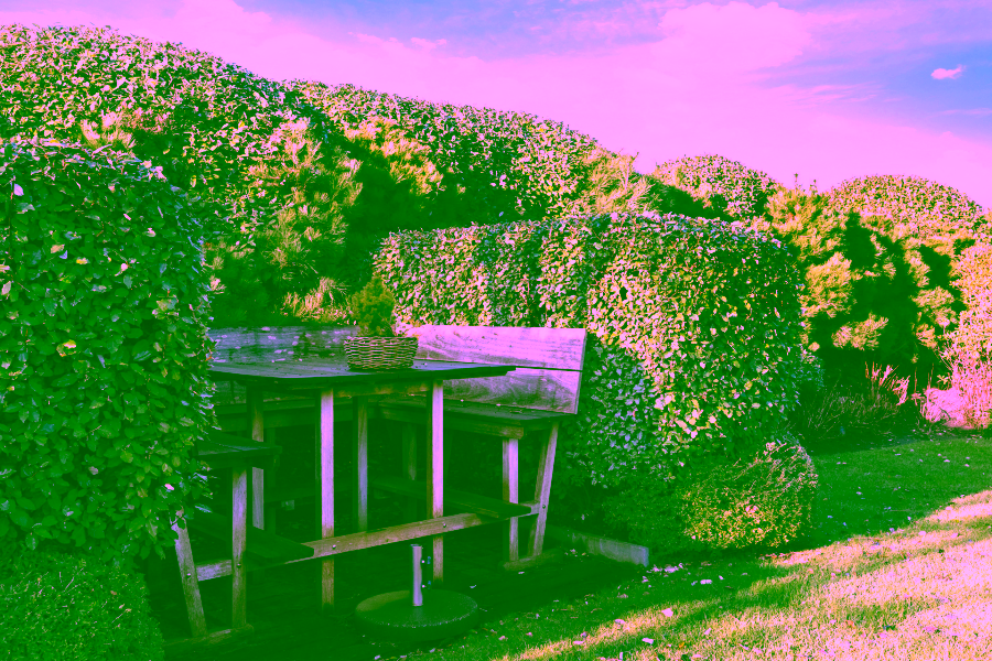 Bild - Luxuriöses Einzelhaus mit Blick auf das Wattenmeer