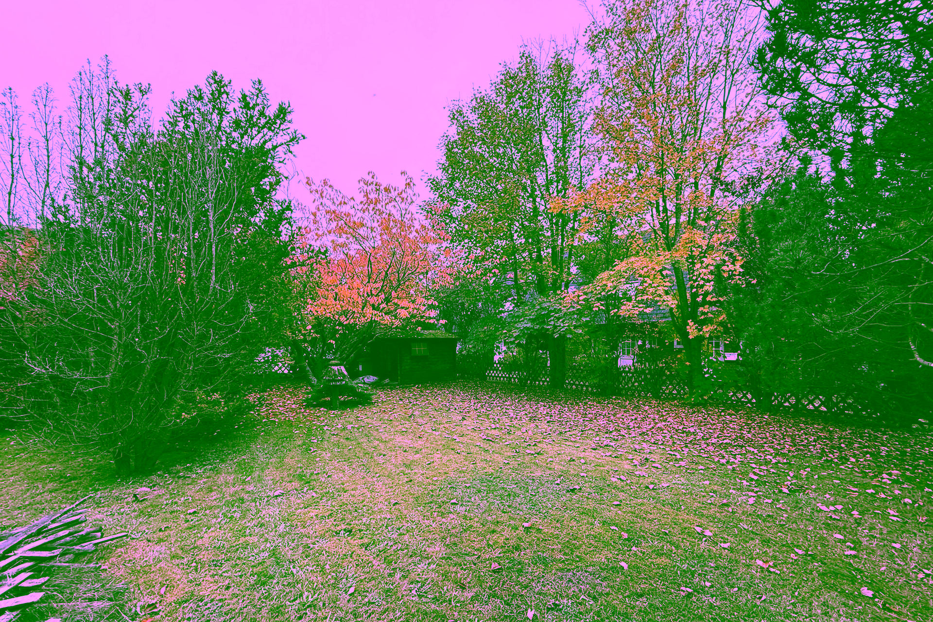 Baugrundstück in zentraler Lage von Tinnum - Bild (14728)