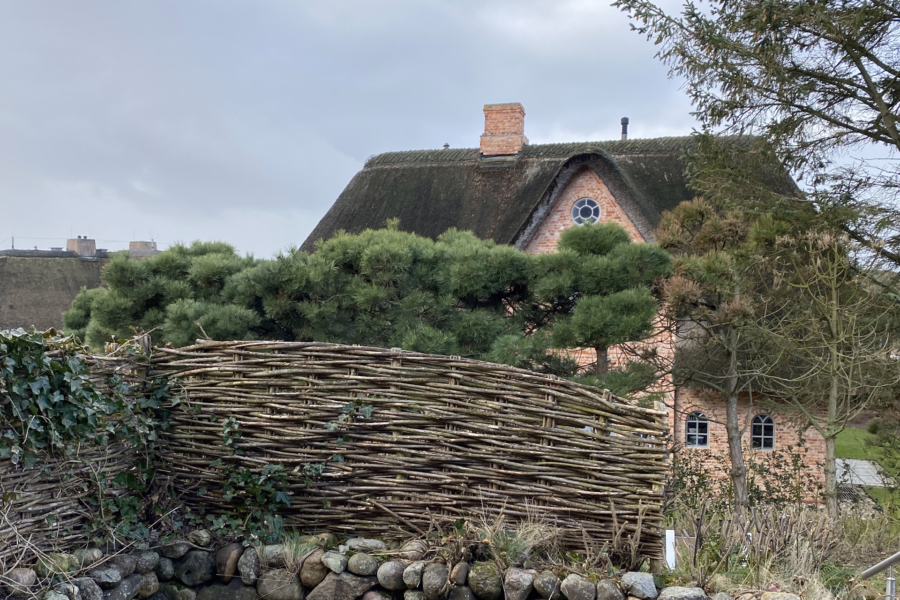 Ausblick Terrasse 2 - Reetgedecktes Hausteil in zurückgezogener Lage von Kampen