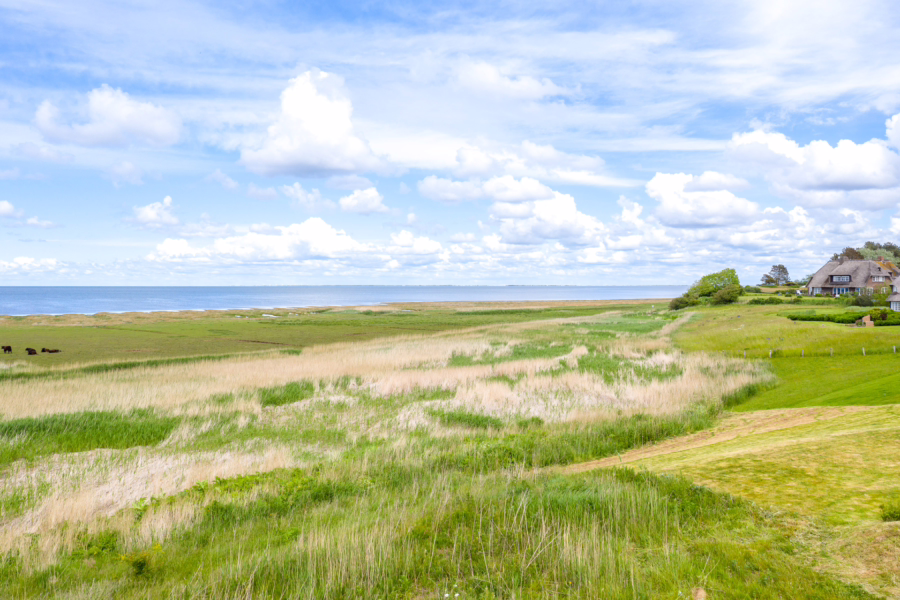 Bild - Grundstück für einen Neubau unter Reet in erster Wattreihe von Morsum