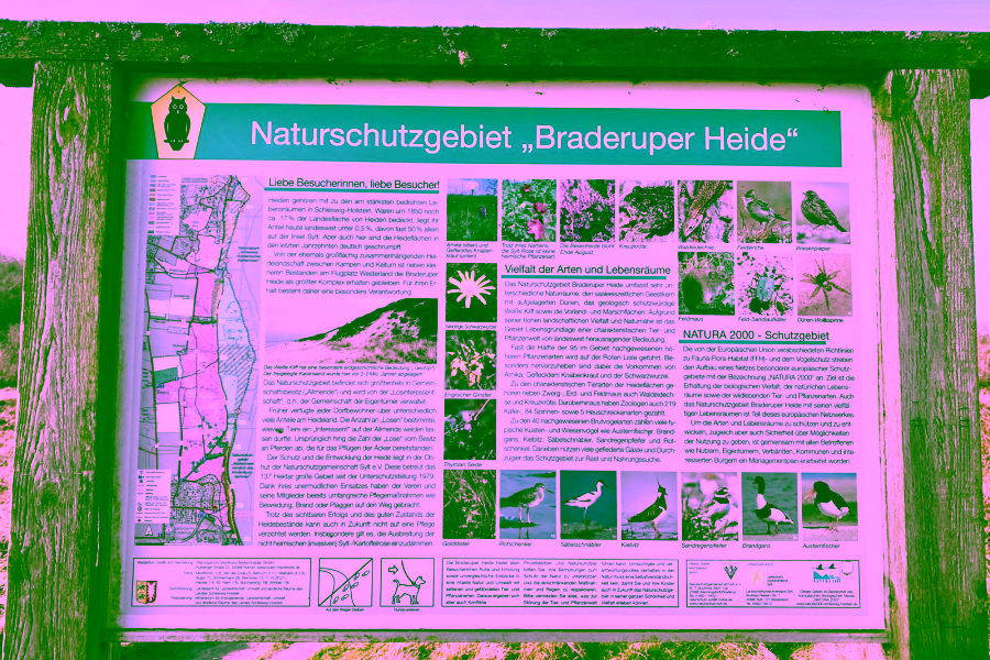 Bild - Schöne 3-Zimmer Wohnung mit Blick auf das Wattenmeer