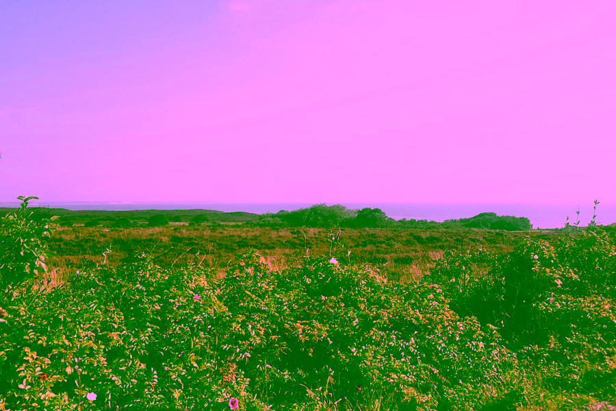 Bild - Schöne 3-Zimmer Wohnung mit Blick auf das Wattenmeer
