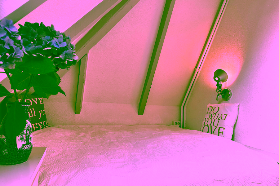 Bild - Genehmigte Ferienwohnung in begehrter Lage von Wenningstedt