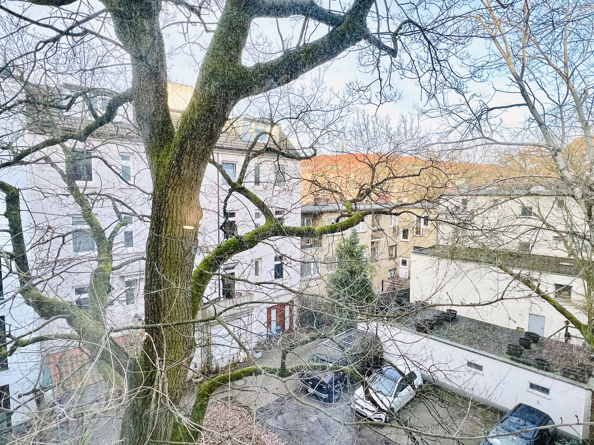 Bild - Charmante Wohnung mit Südbalkon im Zentrum von Winterhude